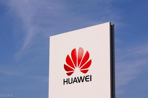 華為為何請劉德華代言 任正非乃取名的高手,皆傳統(tǒng)文化教育思想