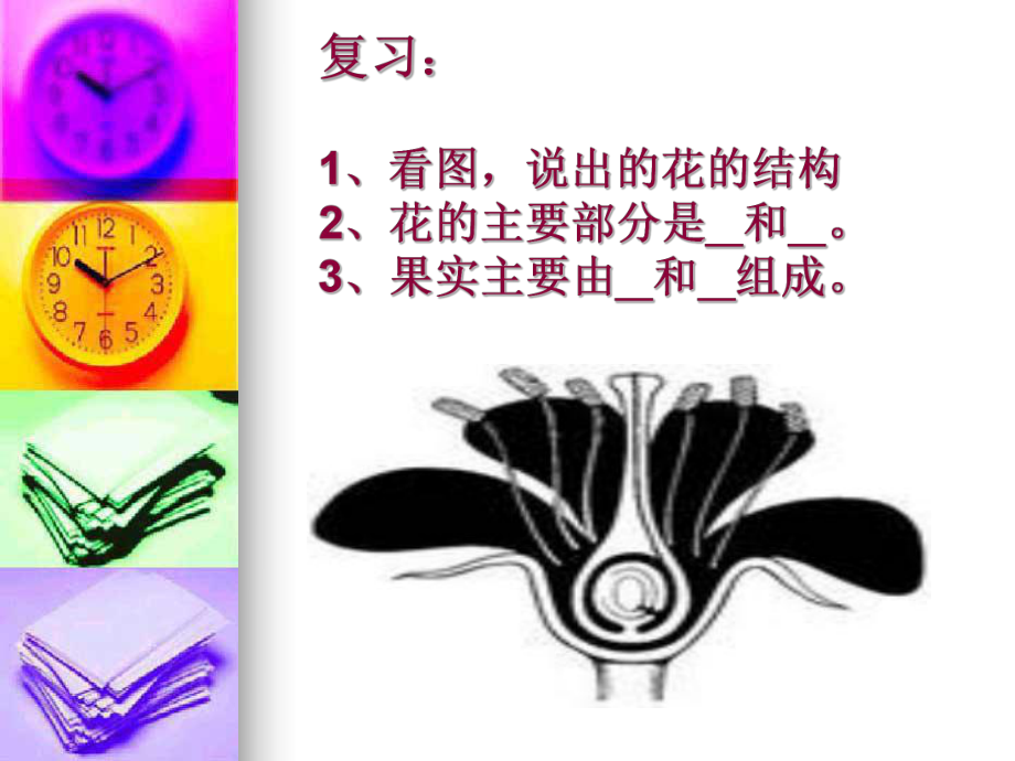 蘇教版61 植物光合作用的發現