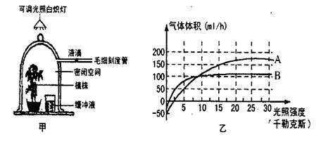 下圖為在一定條件下研究光照強(qiáng)度對(duì)植物光合作用的影響的變化曲線(xiàn),回答下列問(wèn)題 青夏教育精英家教網(wǎng)