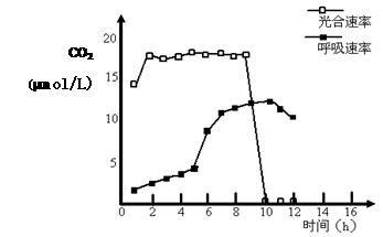 為了探究外界因素與蜜柑光合作用速率之間的關(guān)系,實(shí)驗(yàn)人員在4月 6月測(cè)定了某地晴朗天氣條件下蜜柑葉片的凈光合速率 a圖 和胞間c02濃度 b圖 的變化情況 請(qǐng)據(jù)圖回答下列問(wèn)題