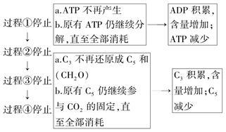 &ldquo;模型法&rdquo;分析光合作用過程中的物質含量變化
