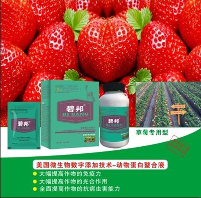 山東莘縣進口葉面肥和沖施肥經(jīng)銷商 光合作用在農(nóng)業(yè)增產(chǎn)中的關鍵作用